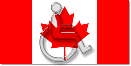 Canadian Provincial Standards and Resources for Digital Accessibility